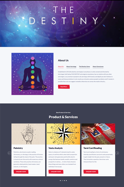 astrologer website designing in kakdihi