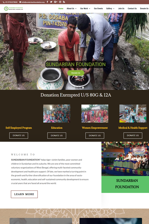 low cost ngo web design in karnal