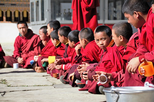 bhutan tour packages with flight
