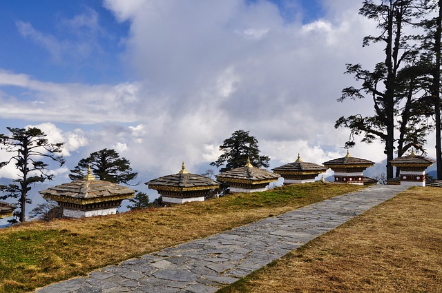 bhutan tour packages with flight