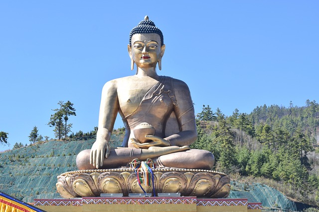 bhutan tour packages with flight
