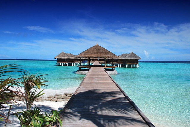 best travel company in gobardanga