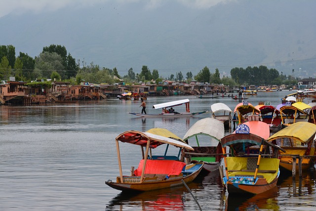 best travel company in gobardanga