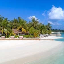 best tour agency in gobardanga