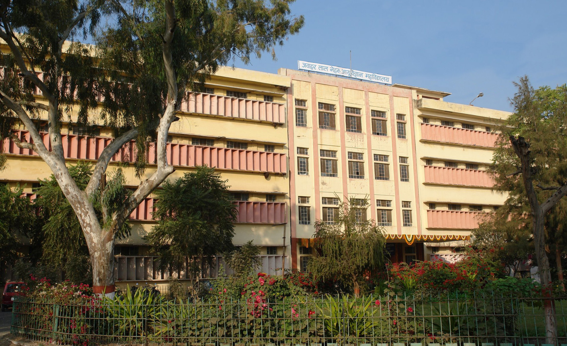 MBBS Consultant in Basirhat