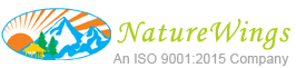  client image